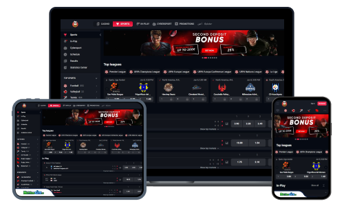 LamaBet sports betting review