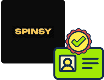 Spinsy verification