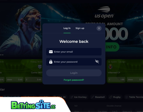 NineWin betting login