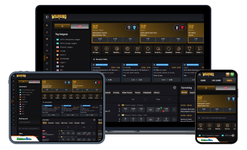 Wildsino sports betting review