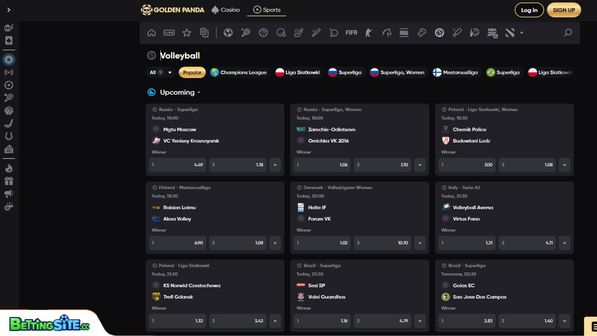 Golden Panda voleyball betting