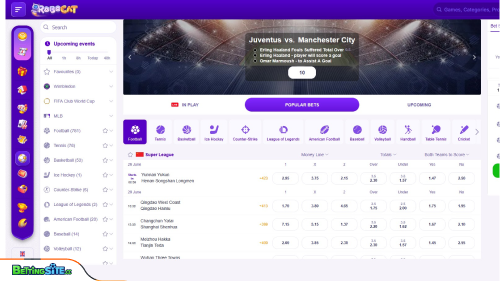 Robocat sports section