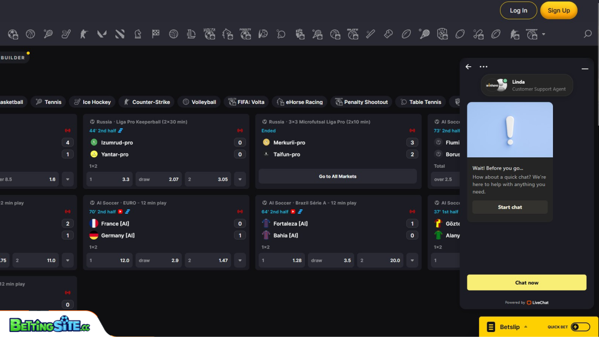 Winhero customer support