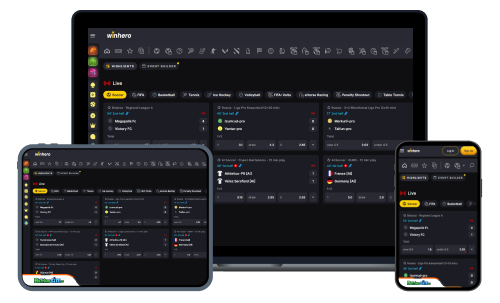 Winhero sports betting review
