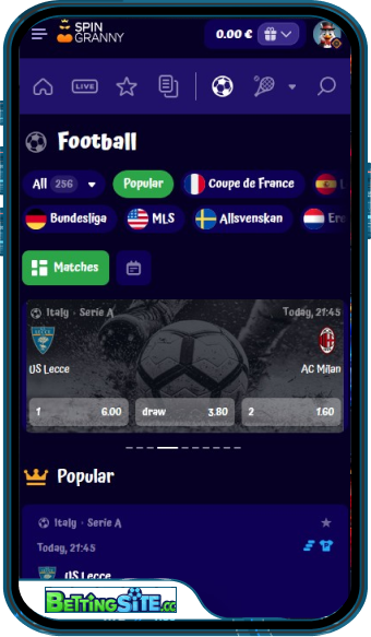Spingranny Bet mobile app