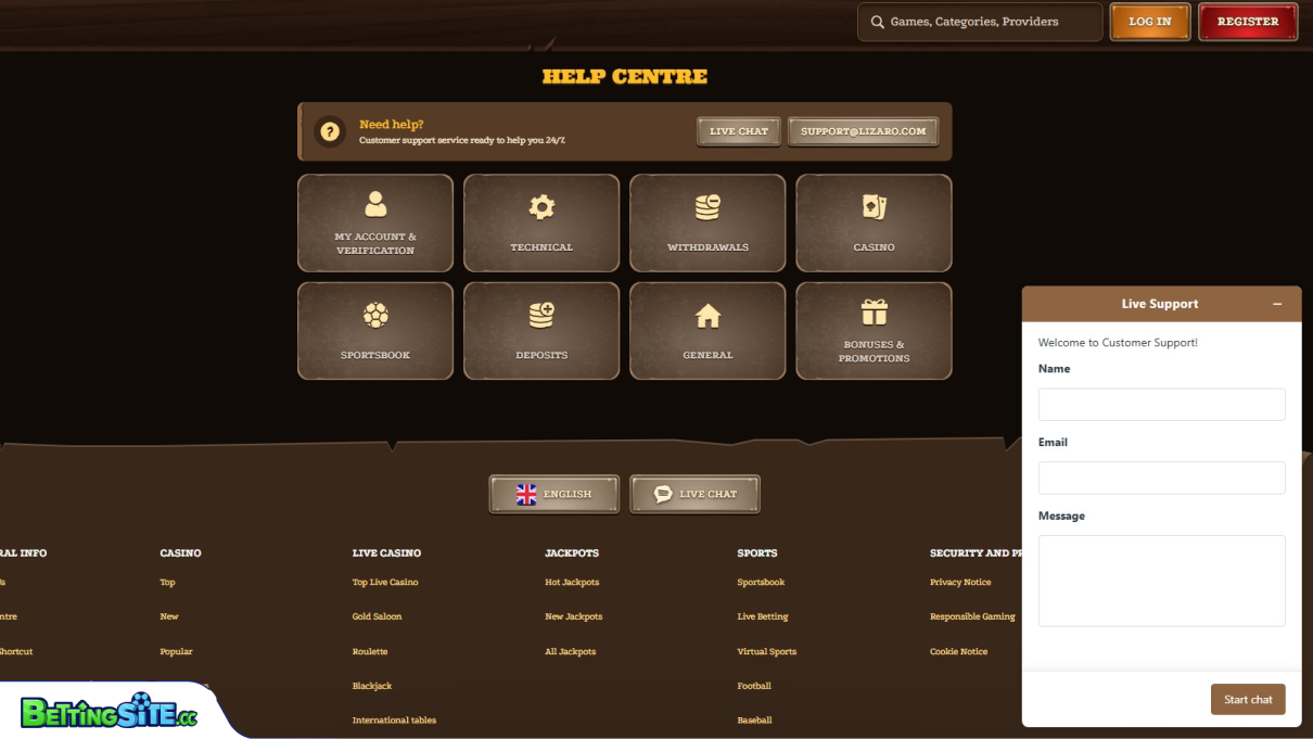 Lizaro customer support