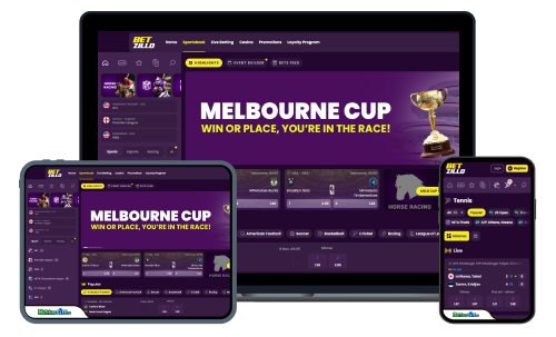 Betzillo sports betting review