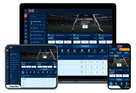 Dudespin sports betting review