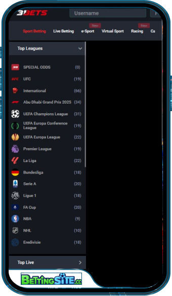 31Bets mobile app