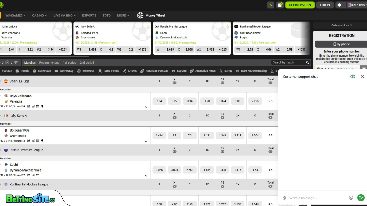 Winwin customer support