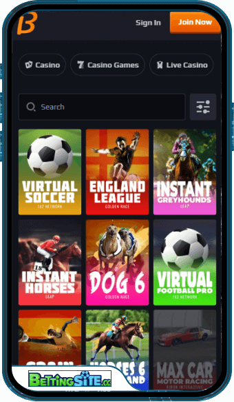 Blaze Spins mobile app