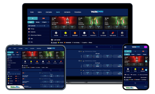 Wintari sports betting review