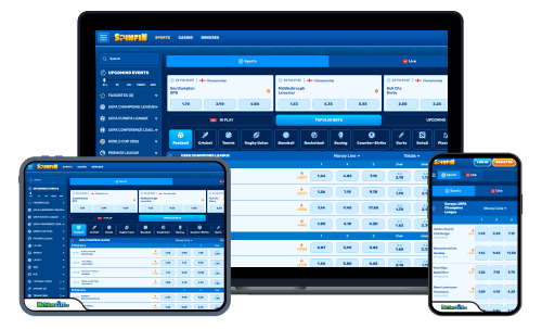 Spinfin sports betting review