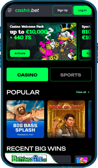 Casho.bet mobile app