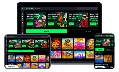 Casho.bet sports betting review