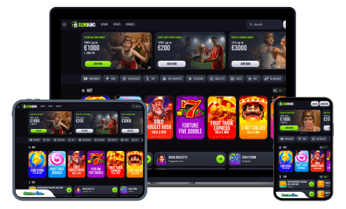 SlimKing sports betting review