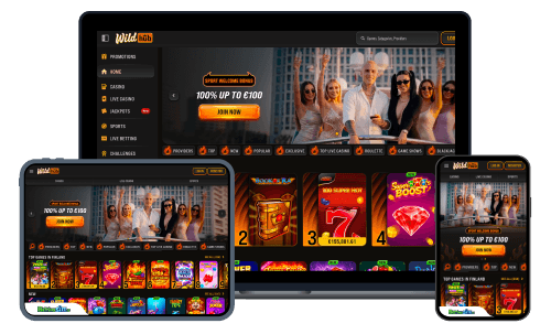 Wildhub sports betting review