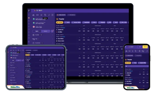 Li Bet sports betting review